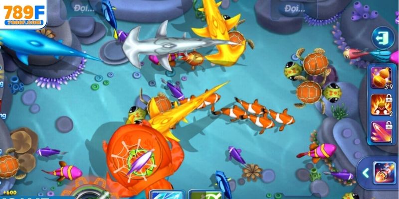 Anh em nên chọn mức đạn phù hợp với từng loài