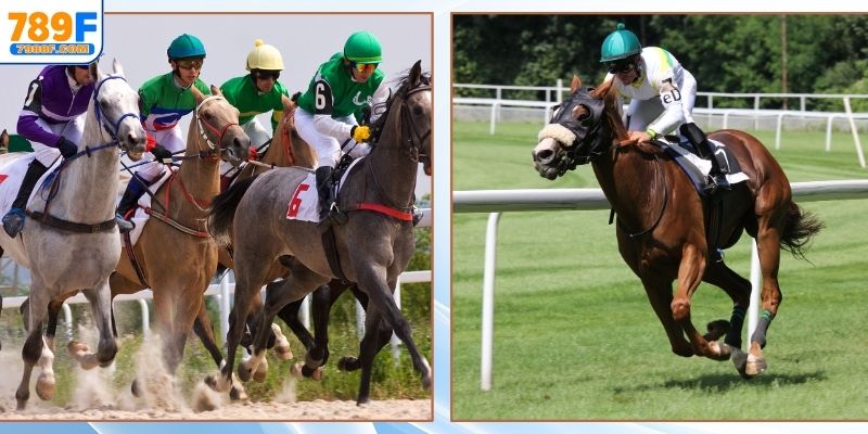 Các thể loại thường gặp trong 789F