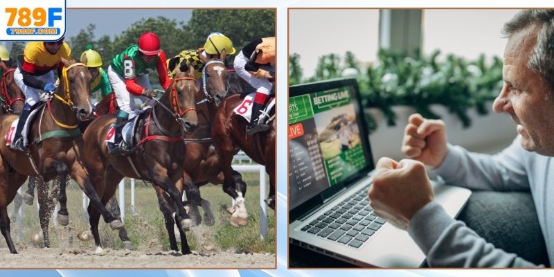 Chi tiết tham gia cược đua ngựa 
