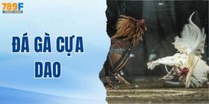 Đá Gà Cựa Dao Là Gì? Luật Đá Gà Chọi Cựa Dao Chi Tiết Nhất