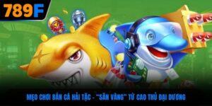 Mẹo chơi bắn cá hải tặc – “săn vàng” từ cao thủ đại dương