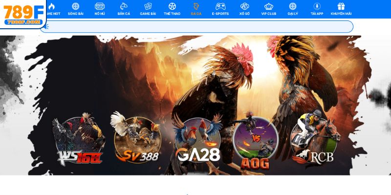 Thông tin về sảnh đá gà 789F