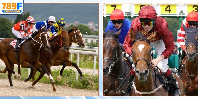 Tìm hiểu sơ lược về đua ngựa 