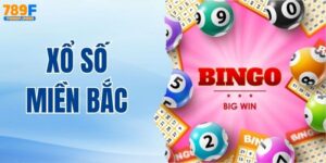 Xổ Số Miền Bắc - Kinh Nghiệm Dự Đoán Chuẩn Từng Giải