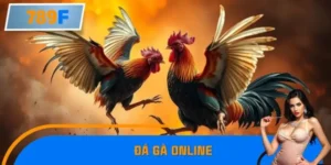 Đá Gà Online Phát Triển Mạnh Trên Di Động