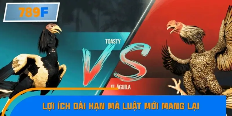 Lợi ích dài hạn mà luật mới mang lại cho đá gà trực tuyến