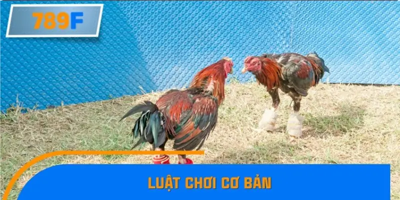 Luật chơi cơ bản