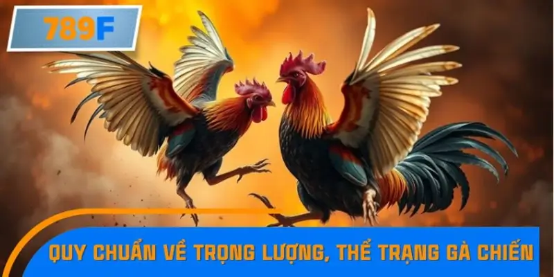 Những điểm mới nổi bật trong luật đá gà quốc tế 2025