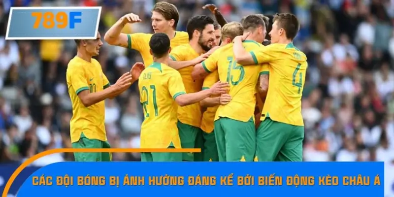 Những đội sở hữu lượng fan hâm mộ lớn