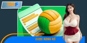 Tin Nóng Cược Bóng Rổ Tăng Mạnh Mùa Giải Mới