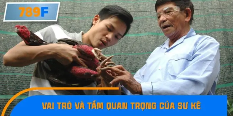 Vai trò và tầm quan trọng của sư kê trong việc nuôi gà chiến