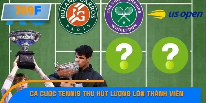 Vì sao cá cược tennis ngày càng thu hút người chơi?