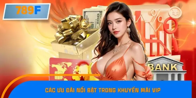 Các ưu đãi nổi bật trong khuyến mãi VIP