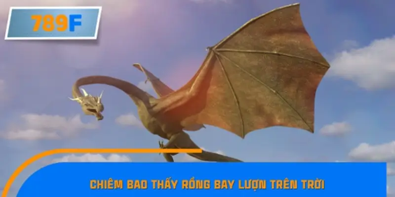 Chiêm bao thấy rồng bay lượn trên trời