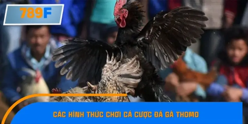 Cựa sắt và cựa dao