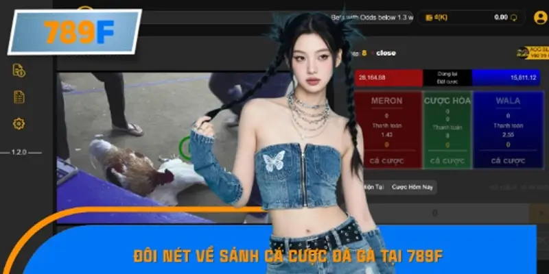 Đôi nét về sảnh cá cược đá gà tại 789F
