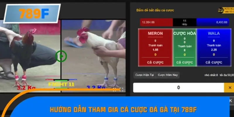 Hướng dẫn tham gia cá cược đá gà tại 789F đơn giản