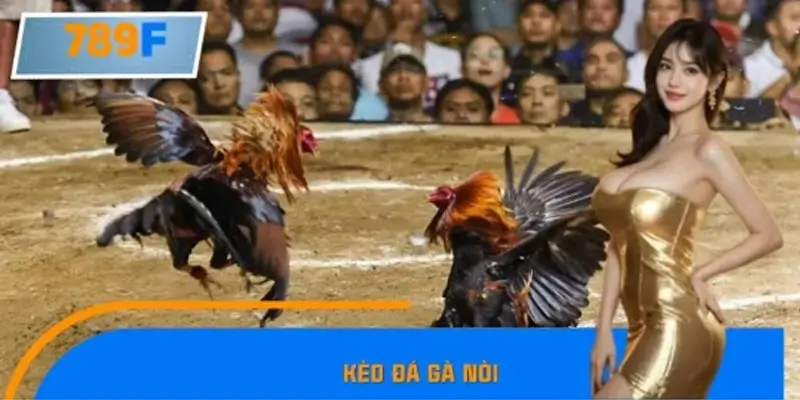 Kèo Đá Gà Nòi Hấp Dẫn Tại 789F