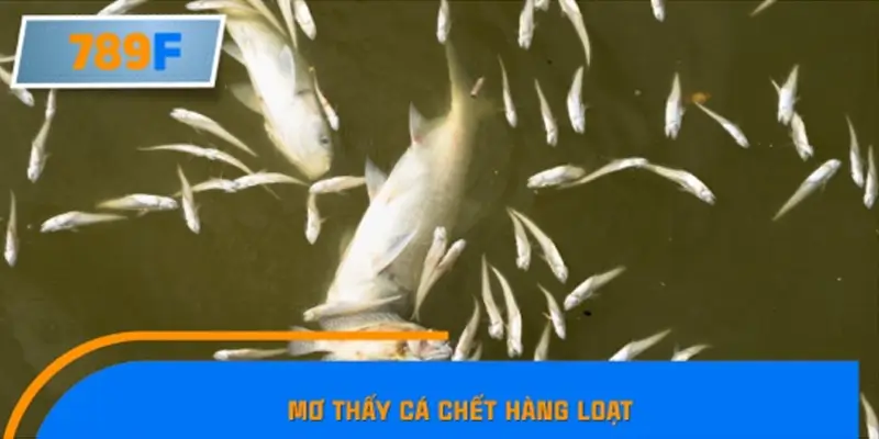 Mơ thấy cá chết hàng loạt