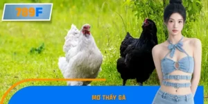 Mơ Thấy Gà Báo Hiệu Điều Gì? Nên Đánh Cặp Số May Mắn Nào?