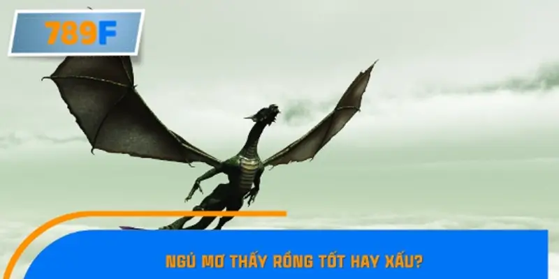 Ngủ mơ thấy rồng tốt hay xấu?