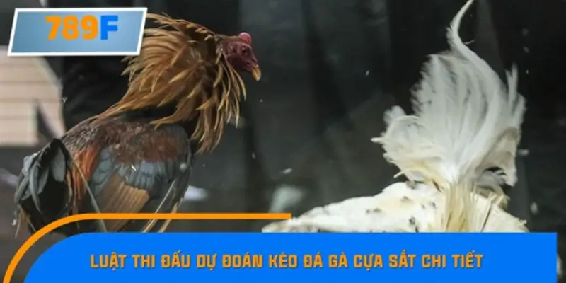 Thời gian thi đấu cùng với cách tính kết quả