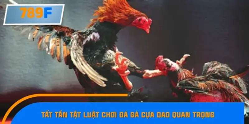 Thời gian trận đấu và cách xác định thắng thua