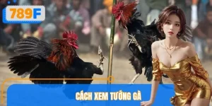 Cách Xem Tướng Gà Chuẩn Cao Thủ 789F – Chọn Chiến Kê Bất Bại