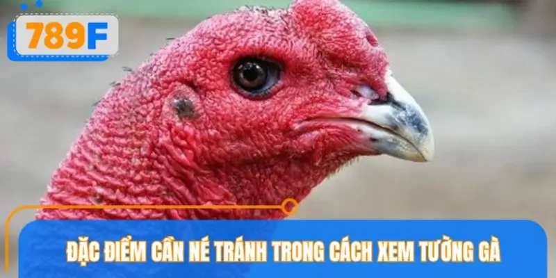 Cách xem tướng gà – Đặc điểm tướng gà kém cần né tránh Cách xem tướng gà – Đặc điểm tướng gà kém cần né tránh