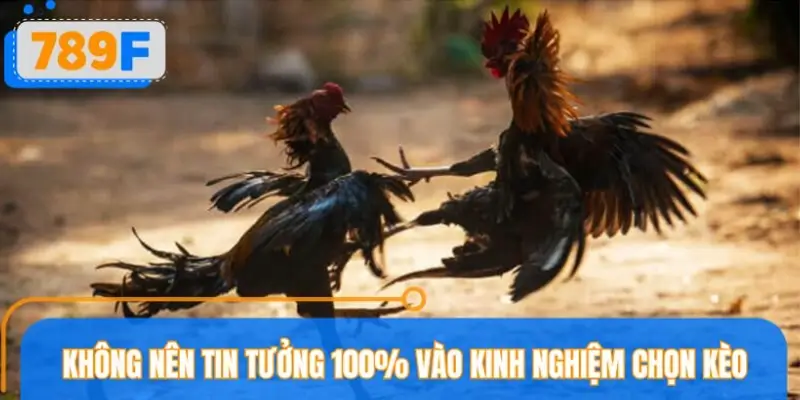 Có nên quá lệ thuộc vào các cách chọn kèo đá gà?