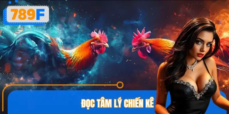 Đọc tâm lý chiến kê và dự đoán bước ngoặt