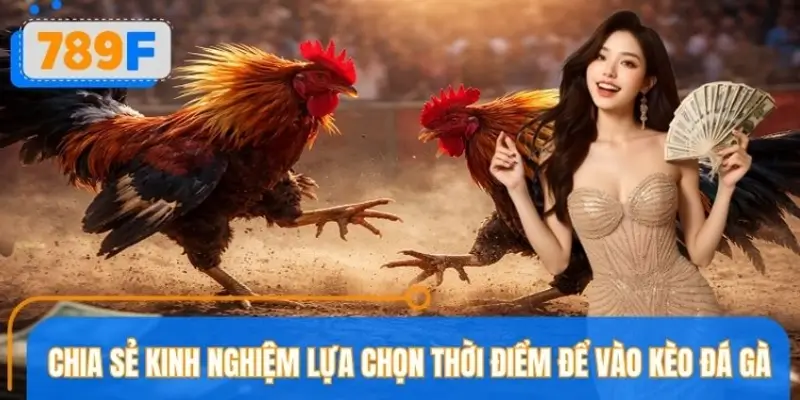 Kinh nghiệm chọn đúng thời điểm vào kèo đá gà trực tuyến Kinh nghiệm chọn đúng thời điểm vào kèo đá gà trực tuyến
