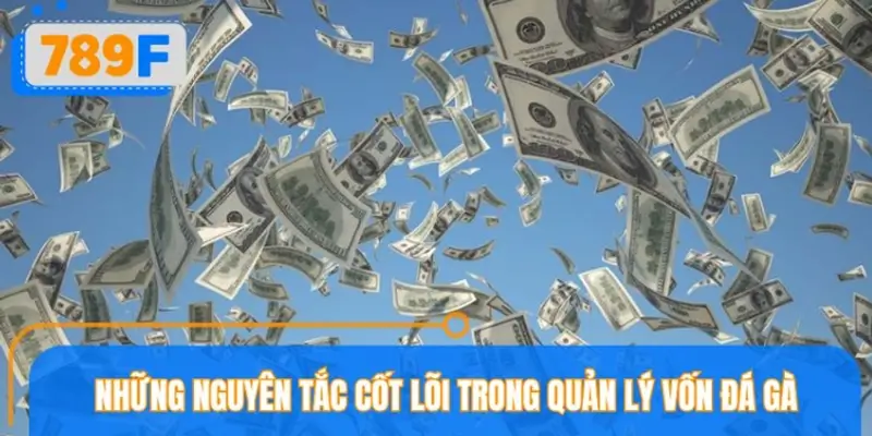 Những nguyên tắc cốt lõi trong quản lý vốn đá gà