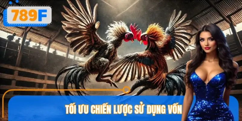 Tổng hợp và tối ưu chiến lược sử dụng vốn